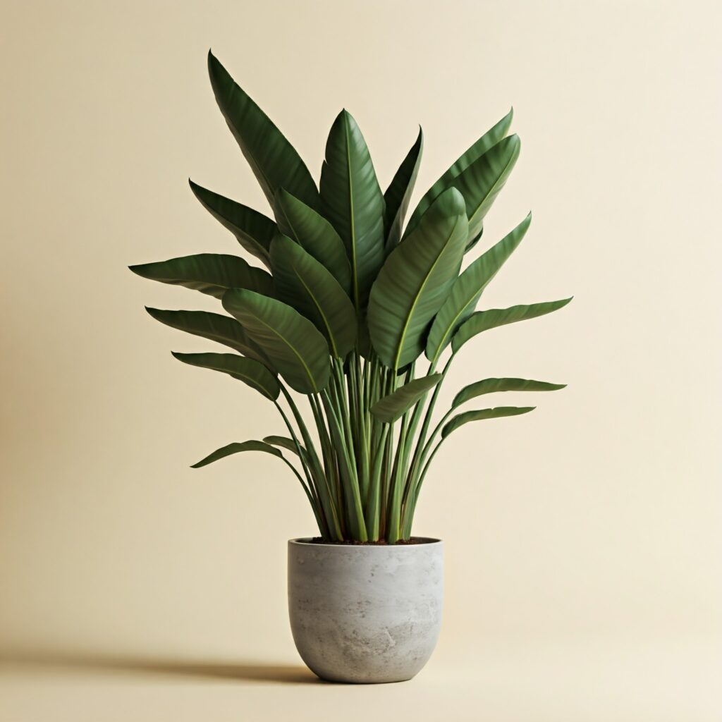 A birds of paradise plany in a beige pot