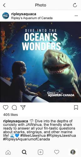 IG Ad 1