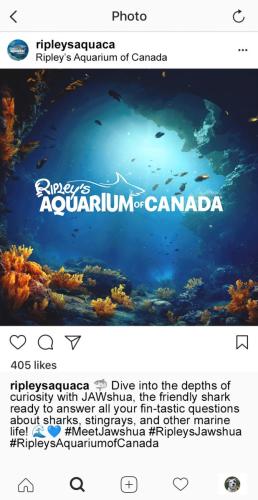 IG Ad 5