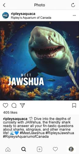 IG Ad 2