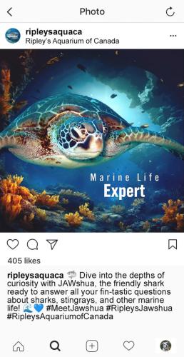 IG Ad 4
