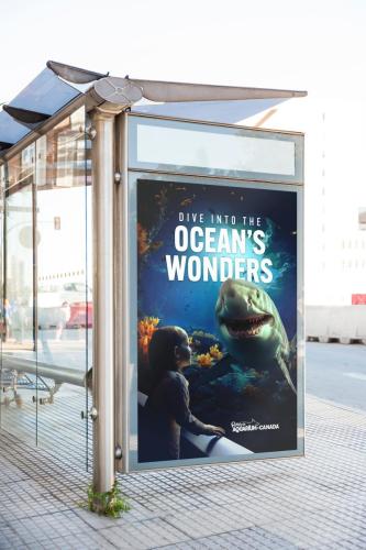 Ripley's Transit Shelter